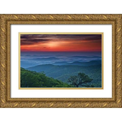 VA, Franklin Cliff Overlook Sunset on mountains Gold Ornate Wood Framed Art Print with Double Matting by OBrien, Jay