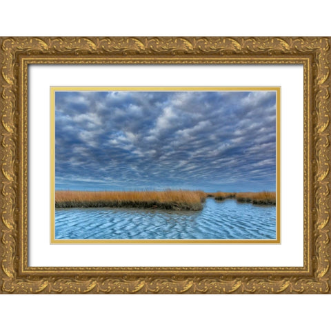 Virginia Cloudy scenic on Chincoteague Island Gold Ornate Wood Framed Art Print with Double Matting by OBrien, Jay