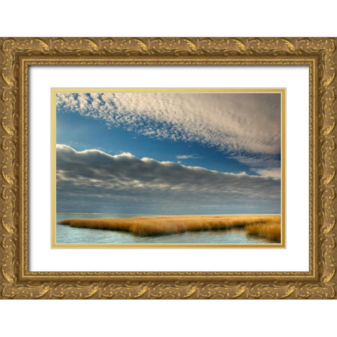 Virginia Cloudy scenic on Chincoteague Island Gold Ornate Wood Framed Art Print with Double Matting by OBrien, Jay