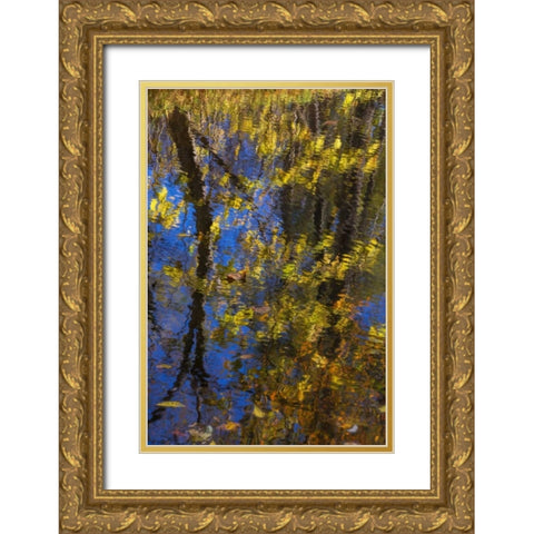 Virginia, McLean Scenic in Great Falls SP Gold Ornate Wood Framed Art Print with Double Matting by OBrien, Jay