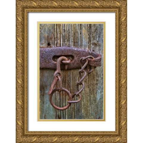 VA, Roanoke, Explore Park Rusty barn door lock Gold Ornate Wood Framed Art Print with Double Matting by Paulson, Don