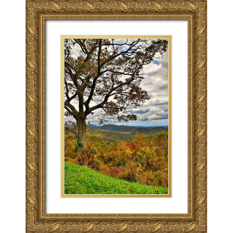 USA-Virginia-Shenandoah National Park-fall color Gold Ornate Wood Framed Art Print with Double Matting by Looney, Hollice
