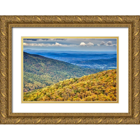 USA-Virginia-Shenandoah National Park-fall color Gold Ornate Wood Framed Art Print with Double Matting by Looney, Hollice