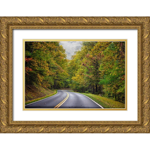 USA-Virginia-Shenandoah National Park-fall color along Skyline Drive Gold Ornate Wood Framed Art Print with Double Matting by Looney, Hollice