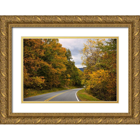 USA-Virginia-Shenandoah National Park-fall color along Skyline Drive Gold Ornate Wood Framed Art Print with Double Matting by Looney, Hollice