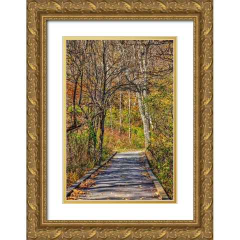 USA-Virginia-Shenandoah National Park-fall color in the park Gold Ornate Wood Framed Art Print with Double Matting by Looney, Hollice