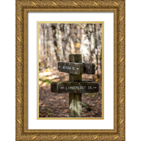 USA-Virginia-Shenandoah National Park-Wooden trail marker for the White Oak Trail and Limberlost Tr Gold Ornate Wood Framed Art Print with Double Matting by Looney, Hollice