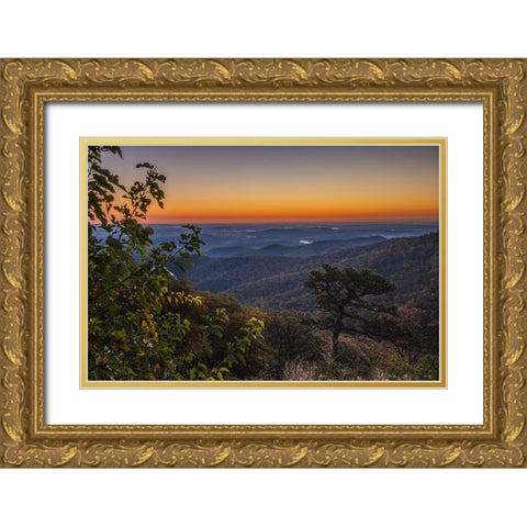 USA-Virginia-Shenandoah National Park-Sunrise along Skyline Drive in the Fall Gold Ornate Wood Framed Art Print with Double Matting by Looney, Hollice