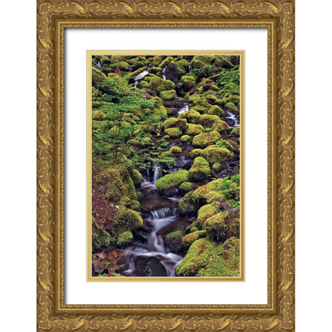 Small stream cascading through moss covered rocks-Hoh Rainforest-Olympic National Park Gold Ornate Wood Framed Art Print with Double Matting by Jones, Adam