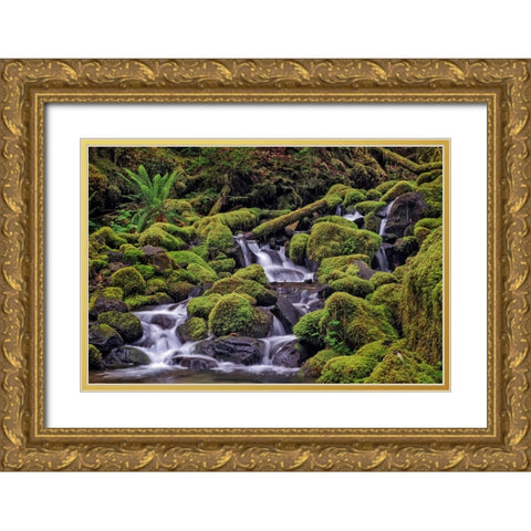 Small stream cascading through moss covered rocks-Hoh Rainforest-Olympic National Park Gold Ornate Wood Framed Art Print with Double Matting by Jones, Adam