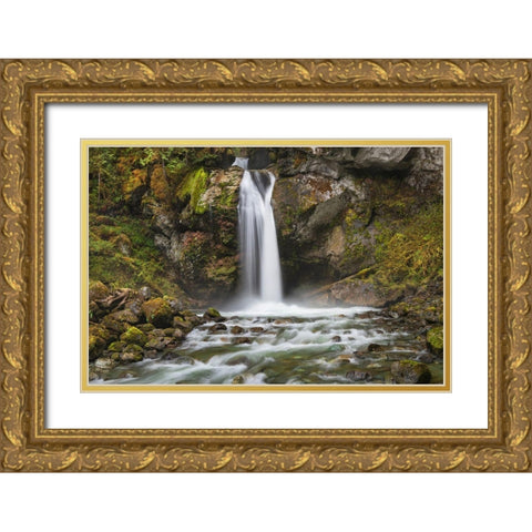 Lazy Bear Falls-Mount Baker-Snoqualmie National Forest-North Cascades-Washington State Gold Ornate Wood Framed Art Print with Double Matting by Majchrowicz, Alan