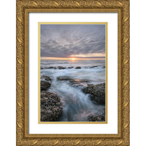 Kalaloch Beach 4 at sunset-Olympic National Park-Washington State Gold Ornate Wood Framed Art Print with Double Matting by Majchrowicz, Alan