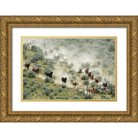 WA, Malaga, Horses form V shape during roundup Gold Ornate Wood Framed Art Print with Double Matting by Kirkland, Dennis