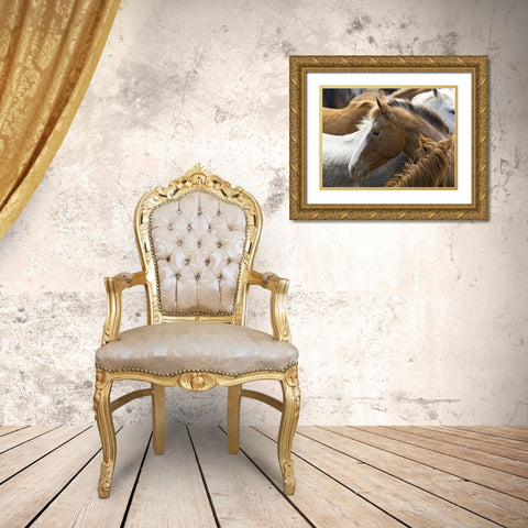 Washington, Malaga, Horse in corral after roundup Gold Ornate Wood Framed Art Print with Double Matting by Kirkland, Dennis