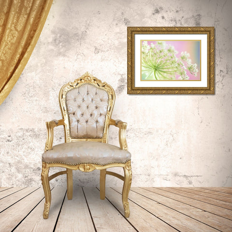 Washington, Cow parsnip flower Gold Ornate Wood Framed Art Print with Double Matting by Satushek, Steve