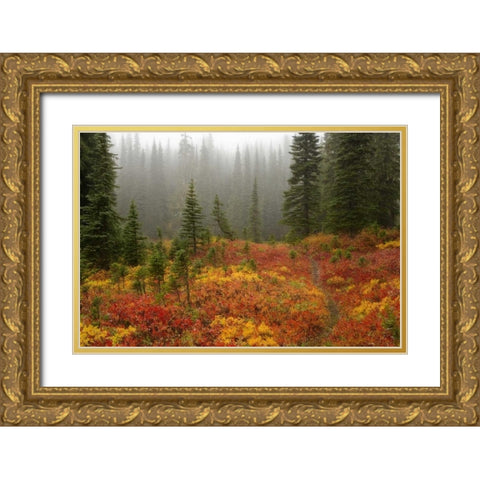 WA, Mount Rainier NP Path through autumn meadow Gold Ornate Wood Framed Art Print with Double Matting by Paulson, Don