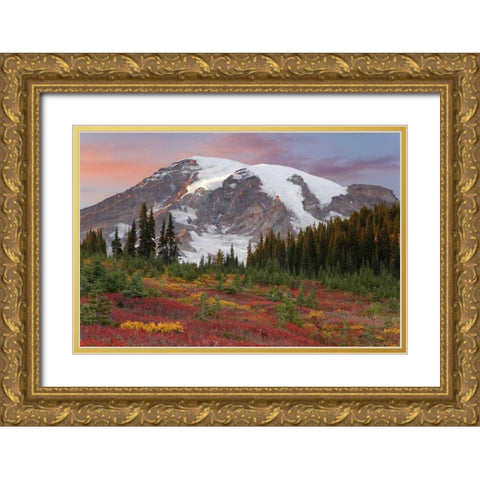 Washington Sunset over Mount Rainier and valley Gold Ornate Wood Framed Art Print with Double Matting by Paulson, Don