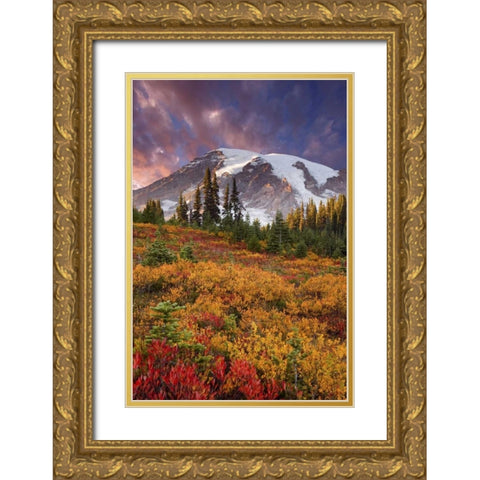 Washington Sunset over Mount Rainier and valley Gold Ornate Wood Framed Art Print with Double Matting by Paulson, Don