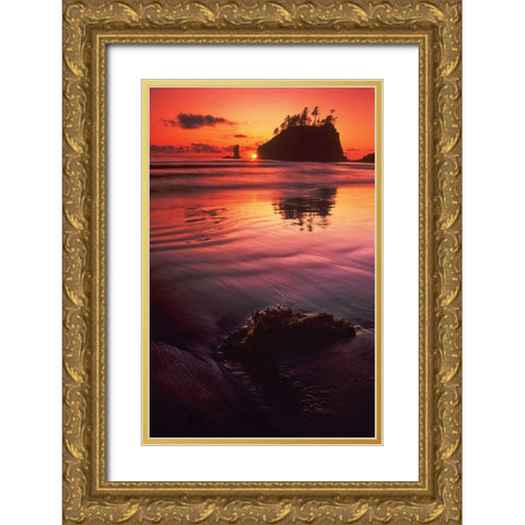 WA, Olympic NP Sunset over sea stacks Gold Ornate Wood Framed Art Print with Double Matting by Welling, Dave