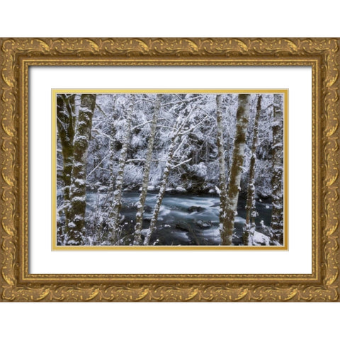 USA, WA, Olympic NP Winter Hamma Hamma River Gold Ornate Wood Framed Art Print with Double Matting by Paulson, Don