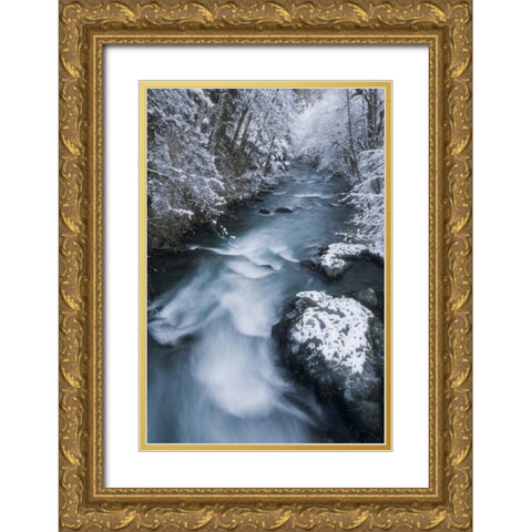 USA, WA, Olympic NP Hamma Hamma River in winter Gold Ornate Wood Framed Art Print with Double Matting by Paulson, Don