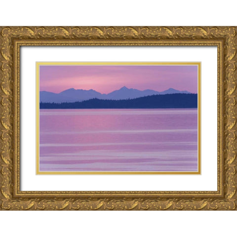 WA, San Juans, view over Haro Straight at sunset Gold Ornate Wood Framed Art Print with Double Matting by Paulson, Don