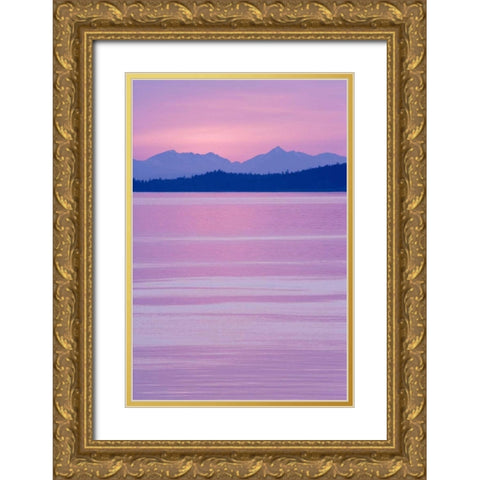 WA, San Juans, view over Haro Straight at sunset Gold Ornate Wood Framed Art Print with Double Matting by Paulson, Don