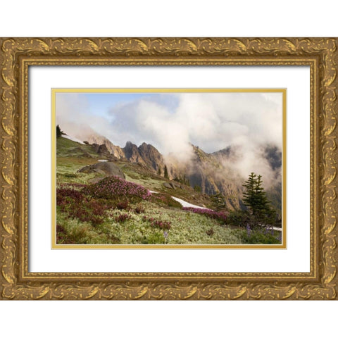 Olympic NP Clouds over meadow and Klahhane Ridge Gold Ornate Wood Framed Art Print with Double Matting by Paulson, Don