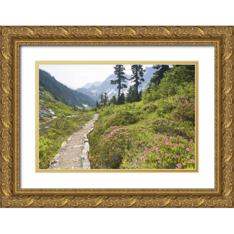 WA, Cascade Pass Hiking trail amid wilderness Gold Ornate Wood Framed Art Print with Double Matting by Paulson, Don