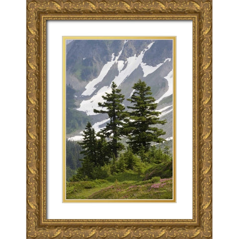 WA, North Cascades NP Mountain hemlock trees Gold Ornate Wood Framed Art Print with Double Matting by Paulson, Don