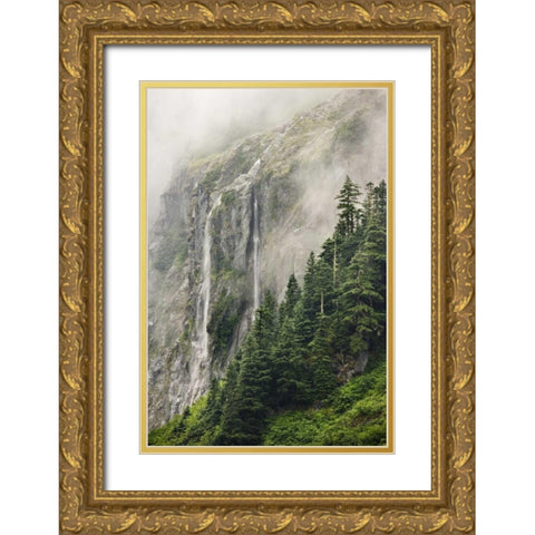 WA, North Cascades NP, Waterfall and fog Gold Ornate Wood Framed Art Print with Double Matting by Paulson, Don