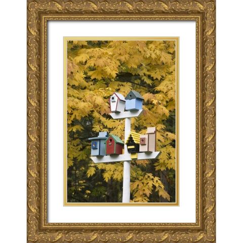 WA, Battle Ground Lake SP Variety of birdhouses Gold Ornate Wood Framed Art Print with Double Matting by Paulson, Don