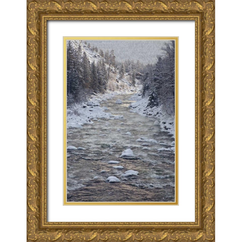 WA, Leavenworth Tees line Wenatchee River Gold Ornate Wood Framed Art Print with Double Matting by Paulson, Don