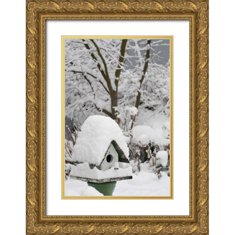 Washington, Seabeck Bird house covered in snow Gold Ornate Wood Framed Art Print with Double Matting by Paulson, Don
