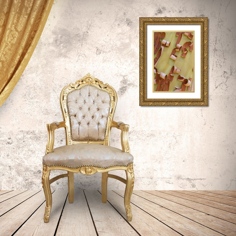 WA, Port Townsend Pacific madrone bark detail Gold Ornate Wood Framed Art Print with Double Matting by Delisle, Gilles