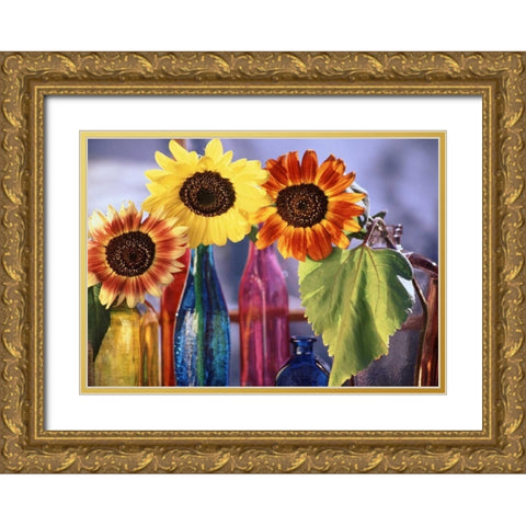 USA, Washington, Bellingham Gold Ornate Wood Framed Art Print with Double Matting by Satushek, Steve