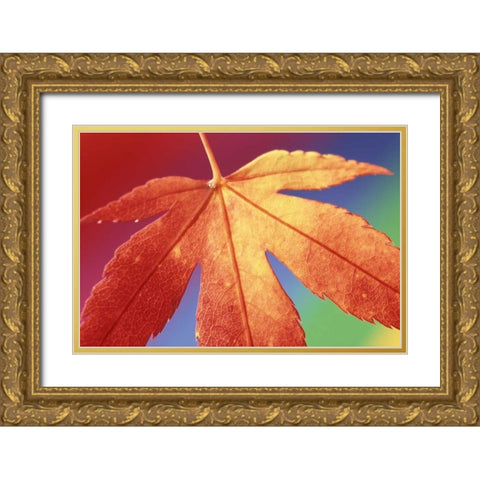 USA, Washington, Bellingham Gold Ornate Wood Framed Art Print with Double Matting by Satushek, Steve