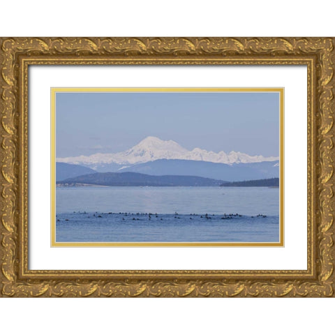 WA, San Juans Mt Baker seen from the San Juans Gold Ornate Wood Framed Art Print with Double Matting by Paulson, Don