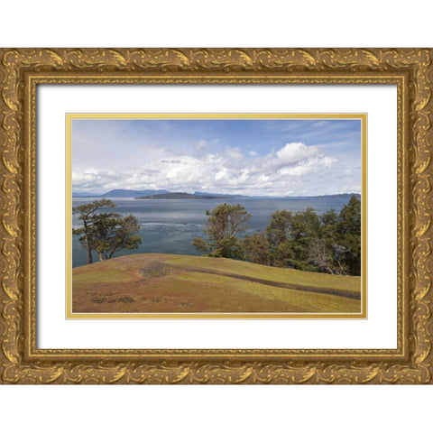 WA, San Juans Scenic overlook on Stuart Island Gold Ornate Wood Framed Art Print with Double Matting by Paulson, Don
