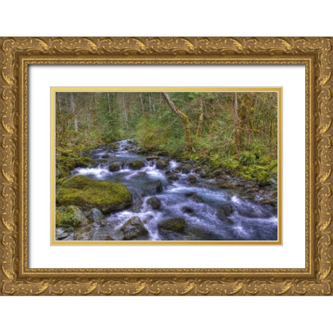 WA, Rocky Brook Falls Stream cascades over rocks Gold Ornate Wood Framed Art Print with Double Matting by Shimlock, Jones