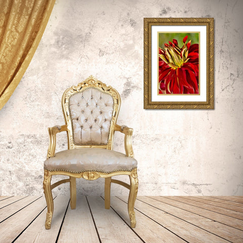 USA, Washington Detail of dahlia flower Gold Ornate Wood Framed Art Print with Double Matting by Shimlock, Jones