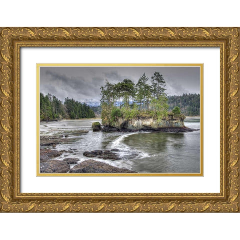 WA, Salt Creek Landscape of island in river Gold Ornate Wood Framed Art Print with Double Matting by Shimlock, Jones