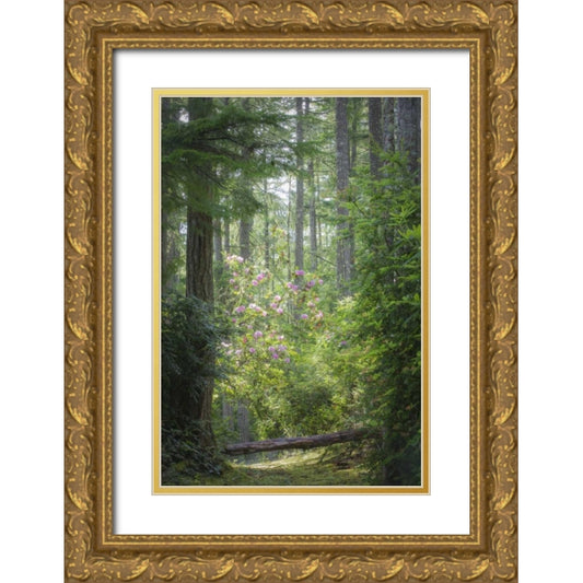Perspective Image