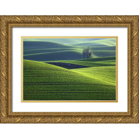 WA, Steptoe Butte Rolling green Palouse hills Gold Ornate Wood Framed Art Print with Double Matting by Flaherty, Dennis