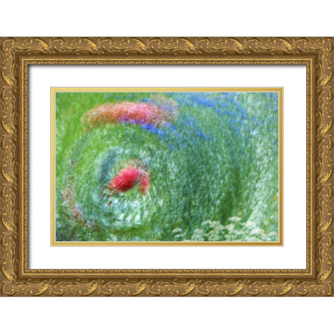 WA, Whidbey Isl Montage of flowers and greenery Gold Ornate Wood Framed Art Print with Double Matting by Bush, Marie