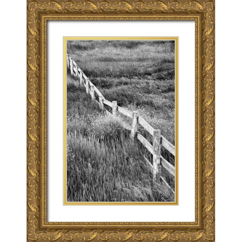 Washington Wooden fence in the Palouse country Gold Ornate Wood Framed Art Print with Double Matting by Flaherty, Dennis