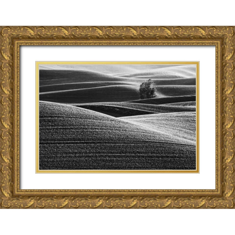 USA, Washington Farm country near Steptoe Butte Gold Ornate Wood Framed Art Print with Double Matting by Flaherty, Dennis