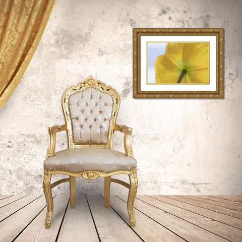 Washington, Seabeck Underside of poppy flower Gold Ornate Wood Framed Art Print with Double Matting by Paulson, Don