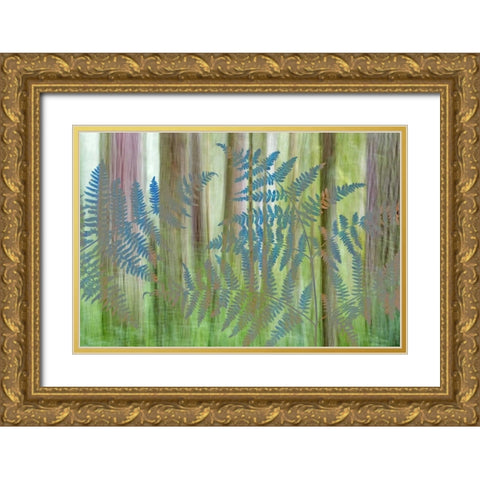 WA, Seabeck Collage of bracken ferns and forest Gold Ornate Wood Framed Art Print with Double Matting by Paulson, Don