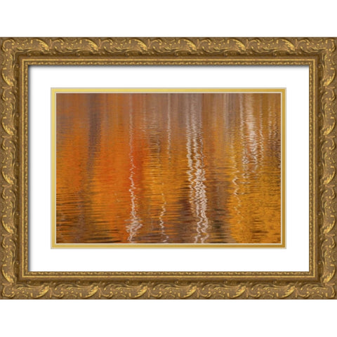 WA, Winthrop Autumn reflections on Beaver Pond Gold Ornate Wood Framed Art Print with Double Matting by Paulson, Don